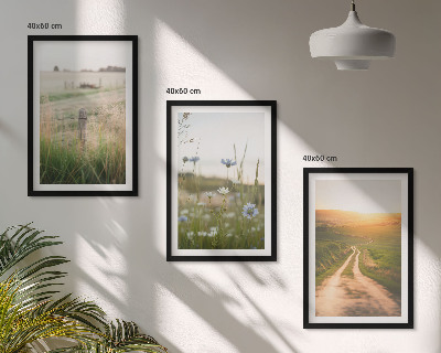 Tavelpaket med ramar Landskap natur fält stig