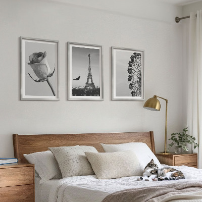 Tavelpaket med ramar Rose Eiffeltornets pariserhjul