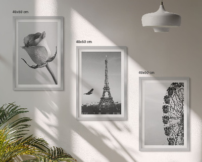 Tavelpaket med ramar Rose Eiffeltornets pariserhjul