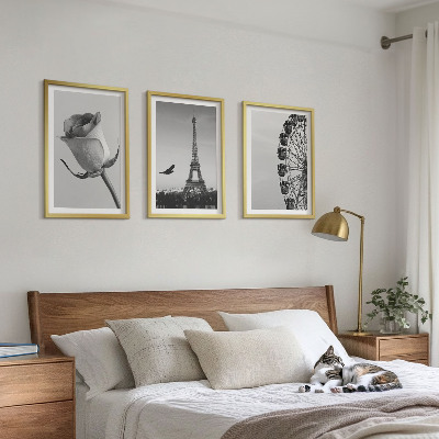 Tavelpaket med ramar Rose Eiffeltornets pariserhjul