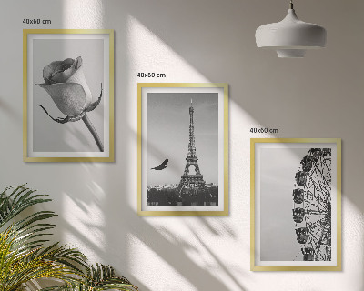Tavelpaket med ramar Rose Eiffeltornets pariserhjul