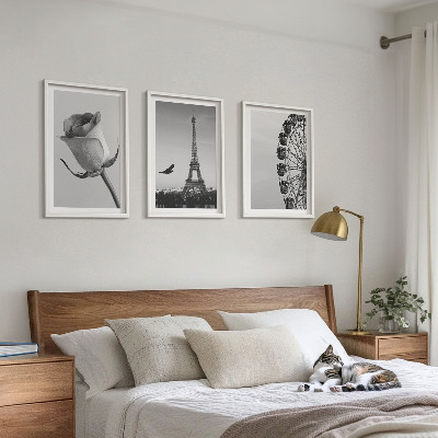 Tavelpaket med ramar Rose Eiffeltornets pariserhjul