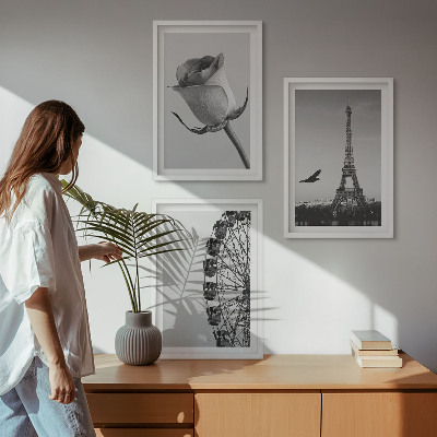 Tavelpaket med ramar Rose Eiffeltornets pariserhjul