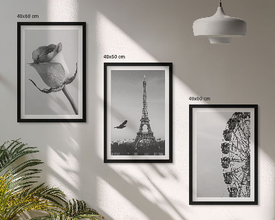 Tavelpaket med ramar Rose Eiffeltornets pariserhjul