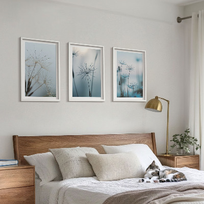 Set om 3 tavlor Maskrosor med vattendroppar
