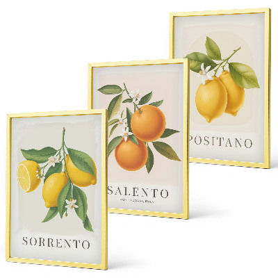 Tavelpaket med ramar Amalfi citroner och apelsiner