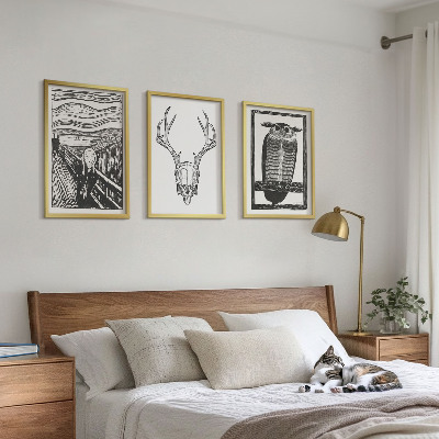 Tavelset ovanför soffa Skrikande skalleuggla grafik