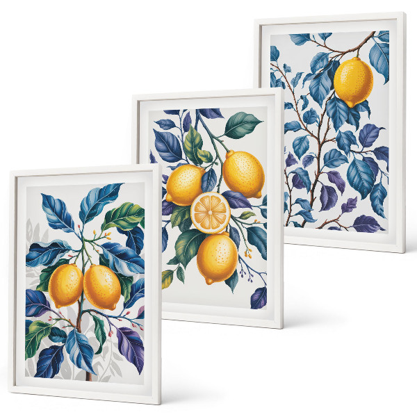 Set om 3 tavlor Citrongrenar blå blad