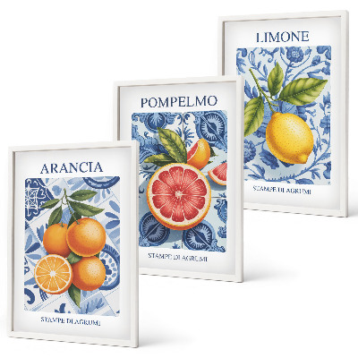 Tavelset ovanför soffa Citrusfrukter Vintage Illustrationer