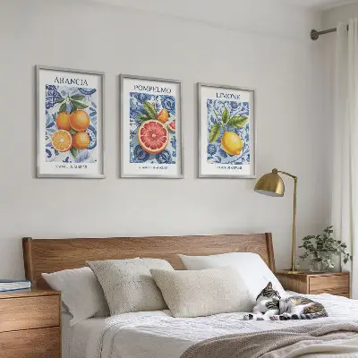 Citrusfrukter vintage illustrationer tavelset för vägg ovanför soffa