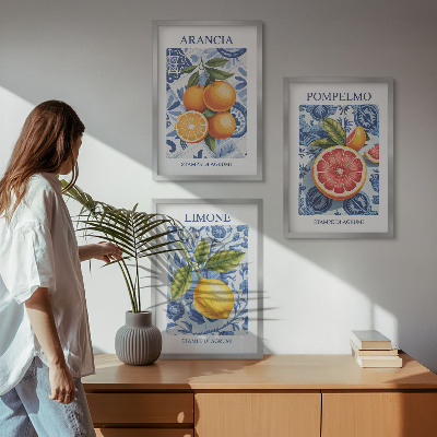Tavelset ovanför soffa Citrusfrukter Vintage Illustrationer