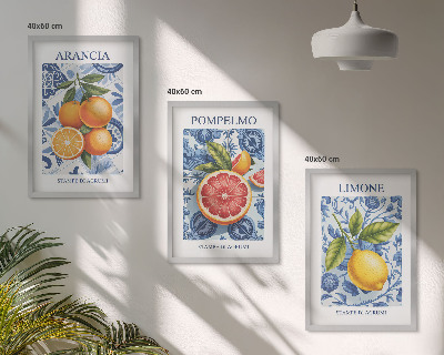 Tavelset ovanför soffa Citrusfrukter Vintage Illustrationer