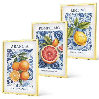 Tavelset ovanför soffa Citrusfrukter Vintage Illustrationer
