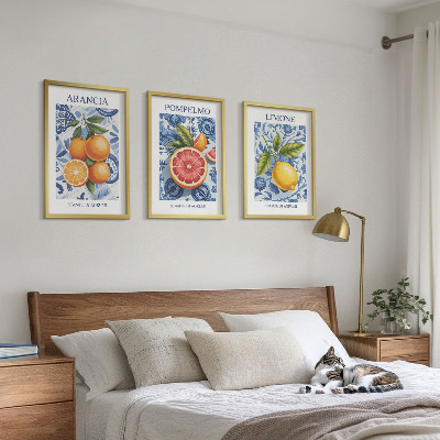 Tavelset ovanför soffa Citrusfrukter Vintage Illustrationer