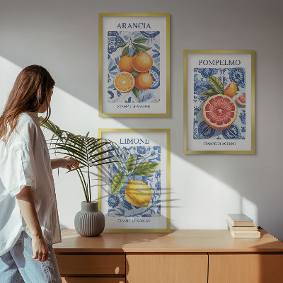 Tavelset ovanför soffa Citrusfrukter Vintage Illustrationer