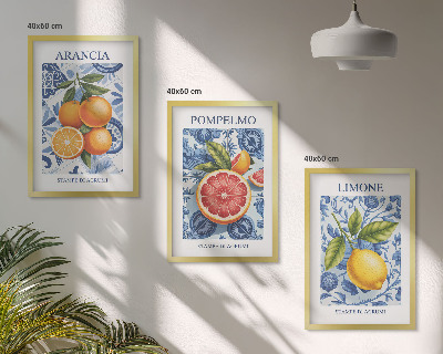 Tavelset ovanför soffa Citrusfrukter Vintage Illustrationer