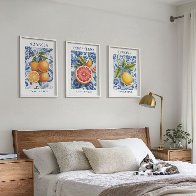 Tavelset ovanför soffa Citrusfrukter Vintage Illustrationer