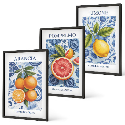 Tavelset ovanför soffa Citrusfrukter Vintage Illustrationer