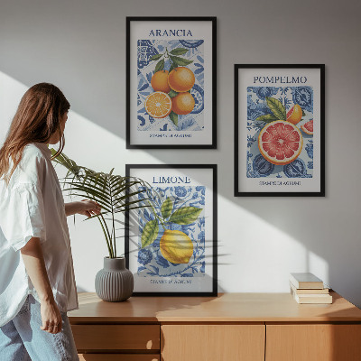 Tavelset ovanför soffa Citrusfrukter Vintage Illustrationer
