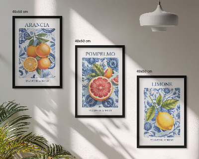Tavelset ovanför soffa Citrusfrukter Vintage Illustrationer