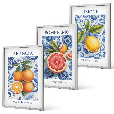 Tavelset ovanför soffa Citrusfrukter Vintage Illustrationer