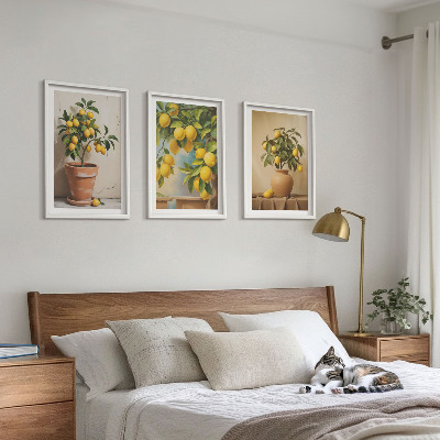 Set om 3 tavlor Citronträd i kruka och vas