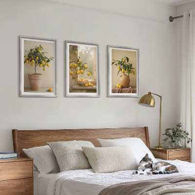Tavelpaket med ramar Citronträd i krukor