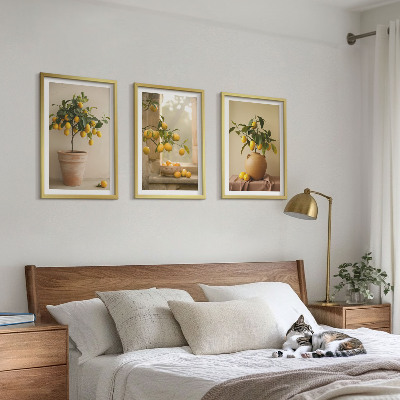 Tavelpaket med ramar Citronträd i krukor