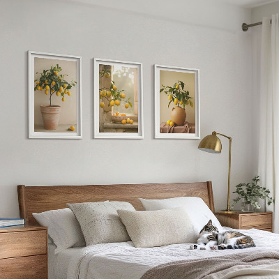 Tavelpaket med ramar Citronträd i krukor