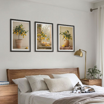 Tavelpaket med ramar Citronträd i krukor