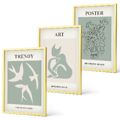Set om 3 tavlor Matisses snygga illustrationer