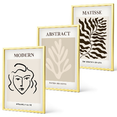 Set om 3 tavlor Ansiktsbladkonst Matisse