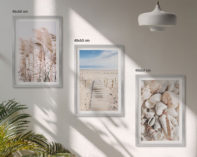 Tavelpaket med ramar Strandsnäckor sjögräs