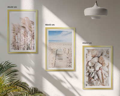Tavelpaket med ramar Strandsnäckor sjögräs