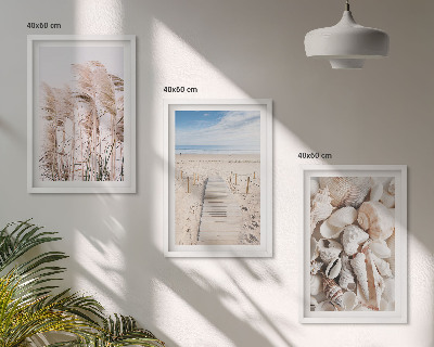Tavelpaket med ramar Strandsnäckor sjögräs