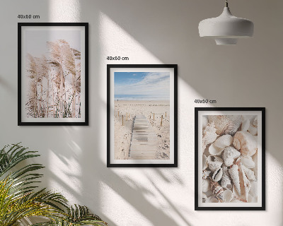 Tavelpaket med ramar Strandsnäckor sjögräs