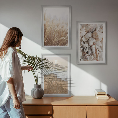 Tavelset ovanför soffa Strandmotiv, snäckor, vågor