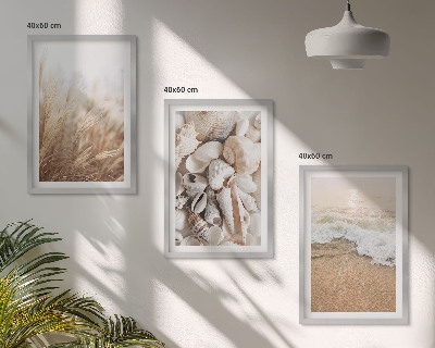 Tavelset ovanför soffa Strandmotiv, snäckor, vågor