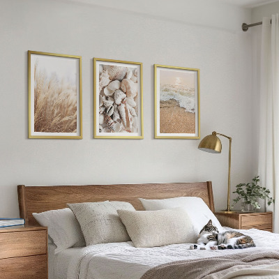 Tavelset ovanför soffa Strandmotiv, snäckor, vågor