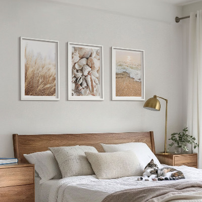 Tavelset ovanför soffa Strandmotiv, snäckor, vågor