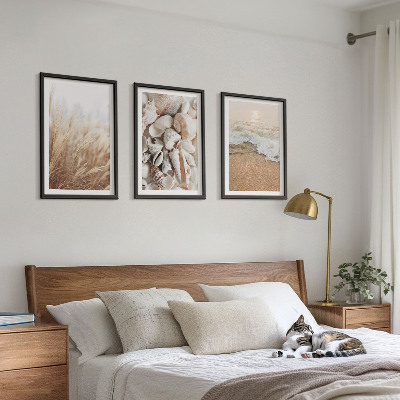 Tavelset ovanför soffa Strandmotiv, snäckor, vågor