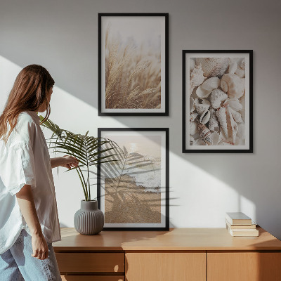 Tavelset ovanför soffa Strandmotiv, snäckor, vågor