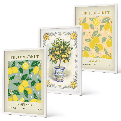 Tavelpaket med ramar Citrusfrukter Italien