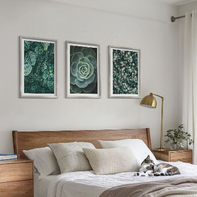 Tavelset ovanför soffa Suckulenter