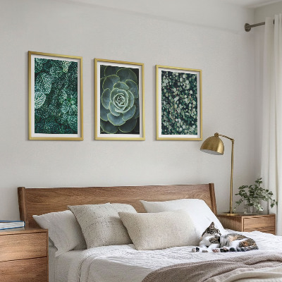 Tavelset ovanför soffa Suckulenter
