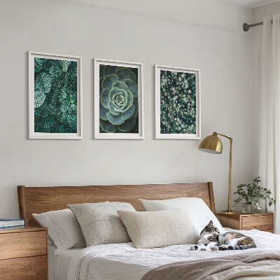 Tavelset ovanför soffa Suckulenter