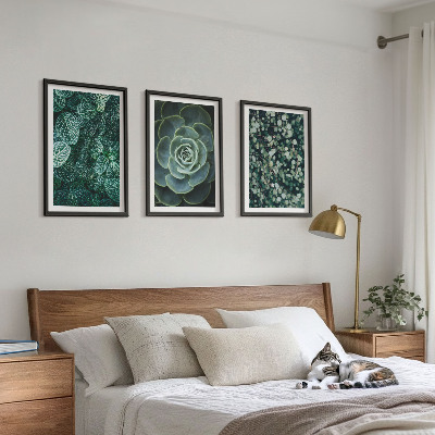 Tavelset ovanför soffa Suckulenter