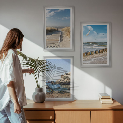 Tavelpaket med ramar Strandens trästig klippor