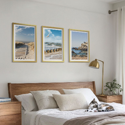 Tavelpaket med ramar Strandens trästig klippor