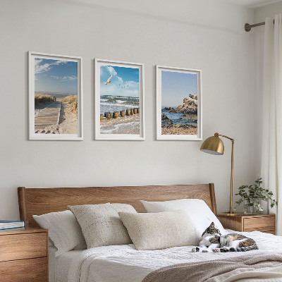 Tavelpaket med ramar Strandens trästig klippor